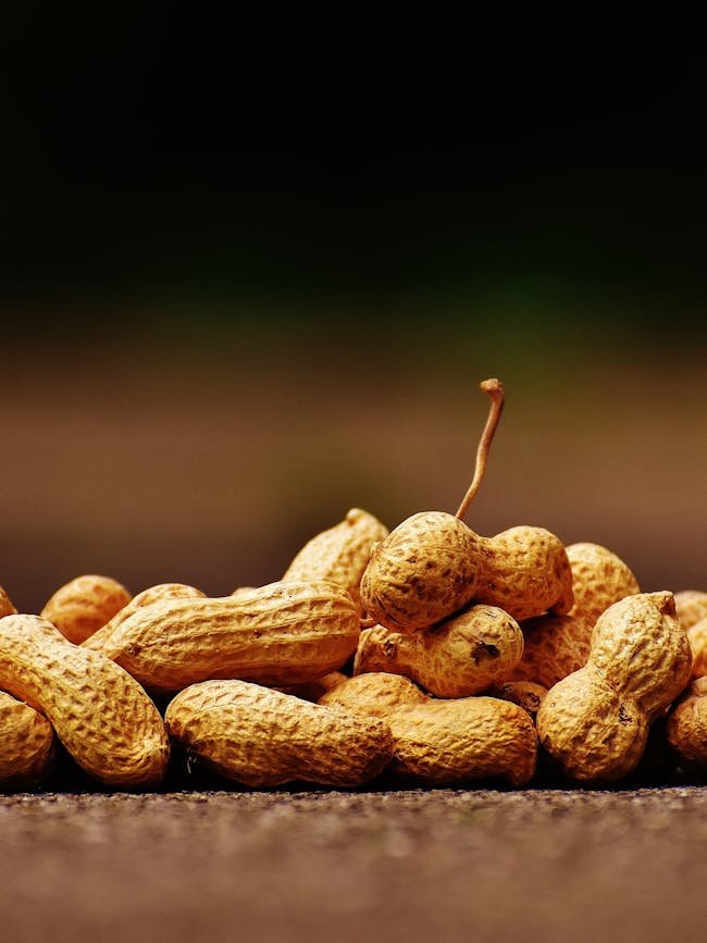 peanut - pexels-pixabay-209345